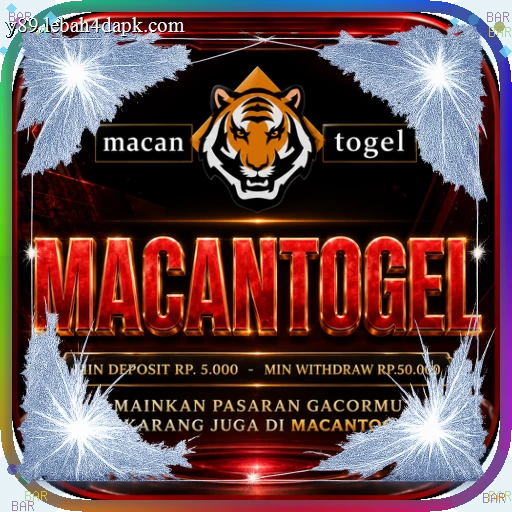 Panduan Lengkap Aplikasi macantogel untuk Pemula